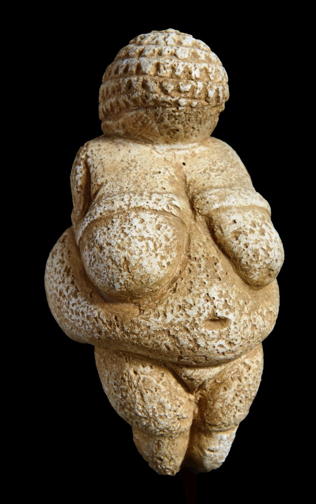 venus 1l
