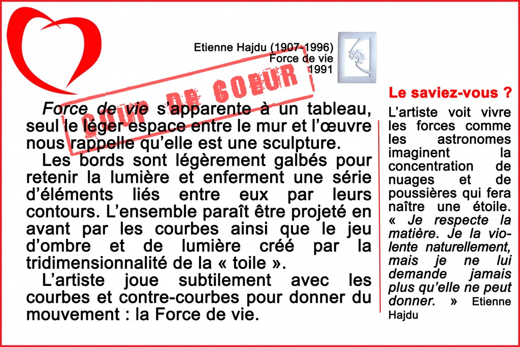 hajdu force de vie